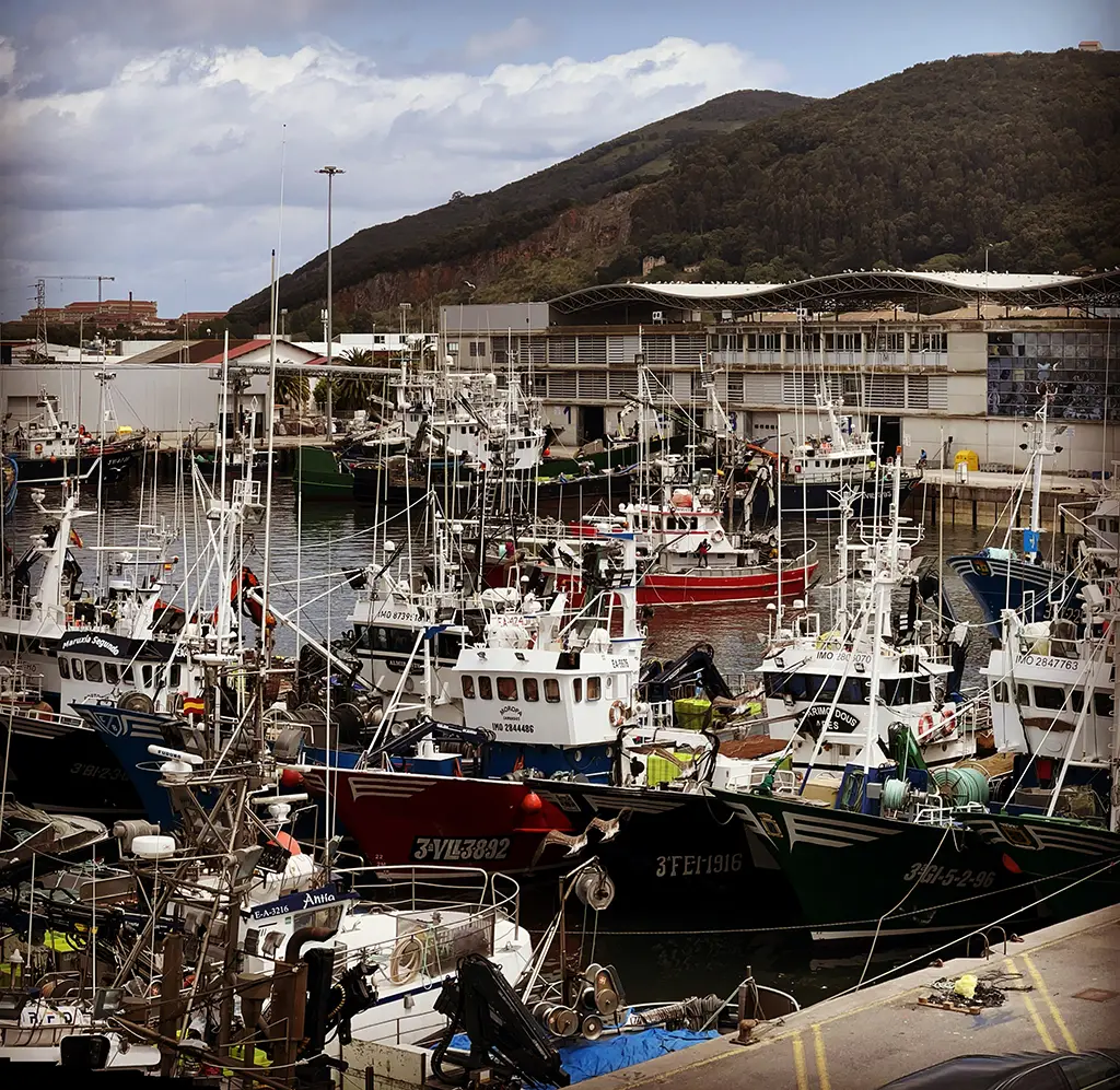 Imagen del Puerto de Santoña, lleno de pesqueros, con "Anchoa de Santoña " claro